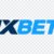 1xBet Casino